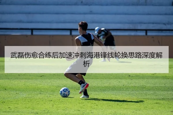 武磊伤愈合练后加速冲刺海港锋线轮换思路深度解析